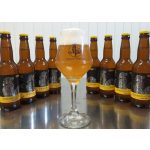 Summer is Coming Lemongrass Saison 0,33 Palack (alc. 5,4%)